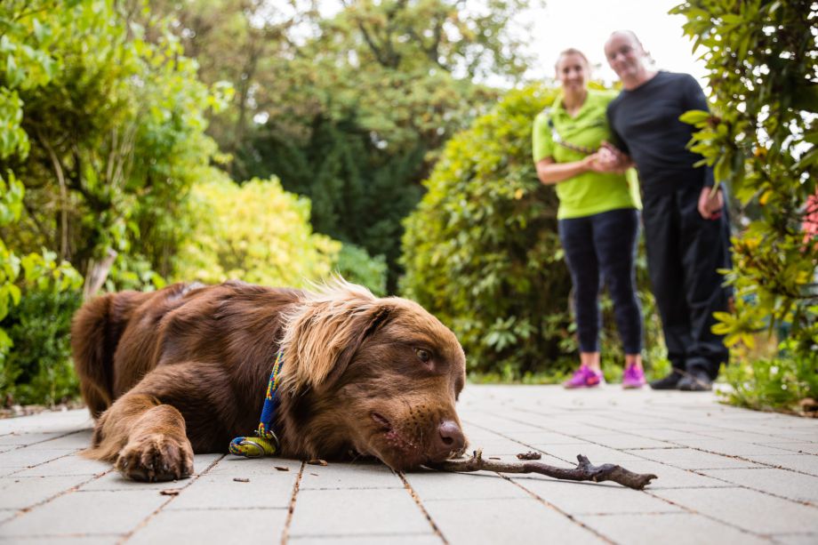 Haus Altenfriede - Therapeutin mit Hund